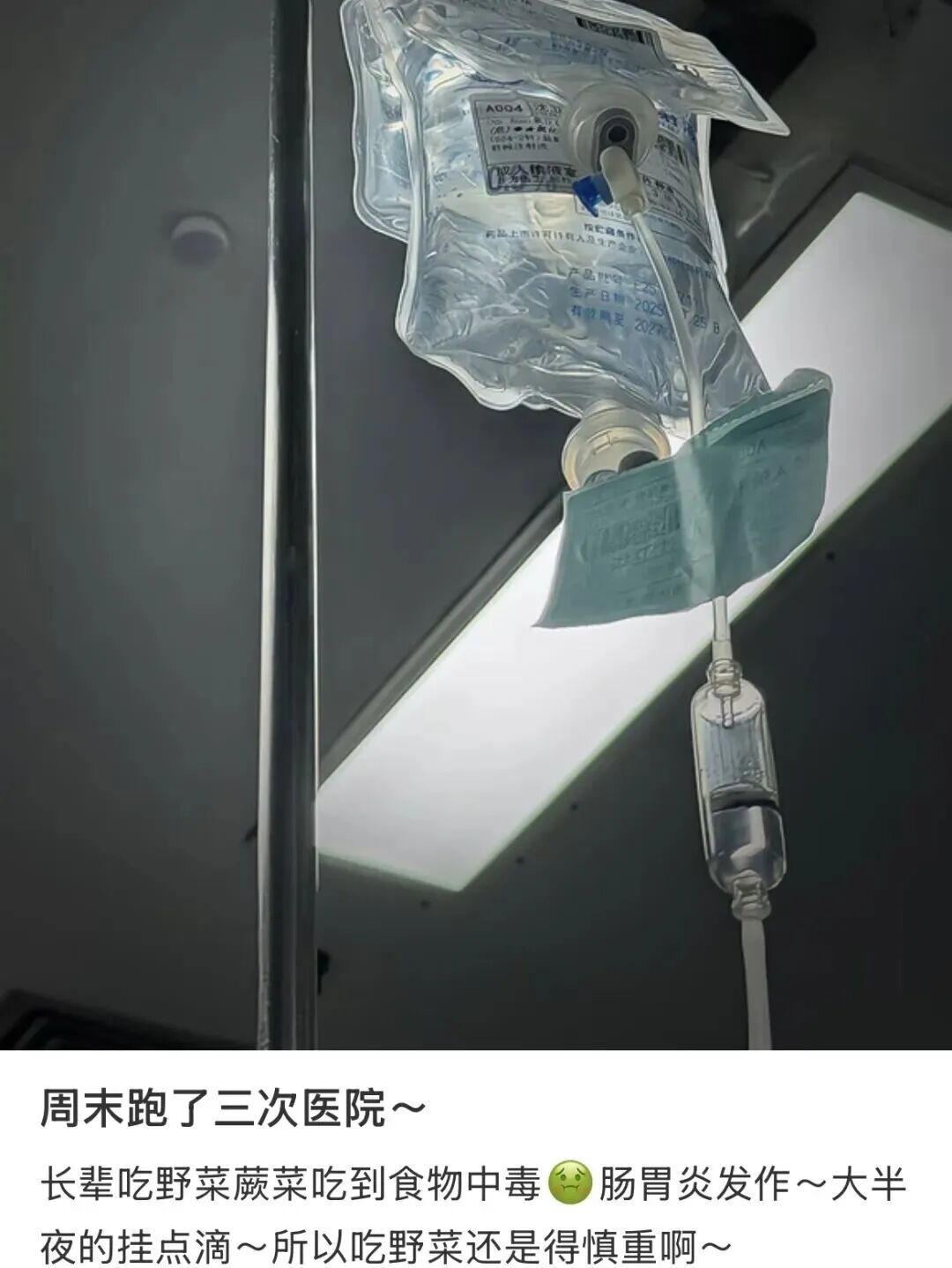 春天 “打野” 热兴起，周末别跟风乱挖！第一批受害者已出现