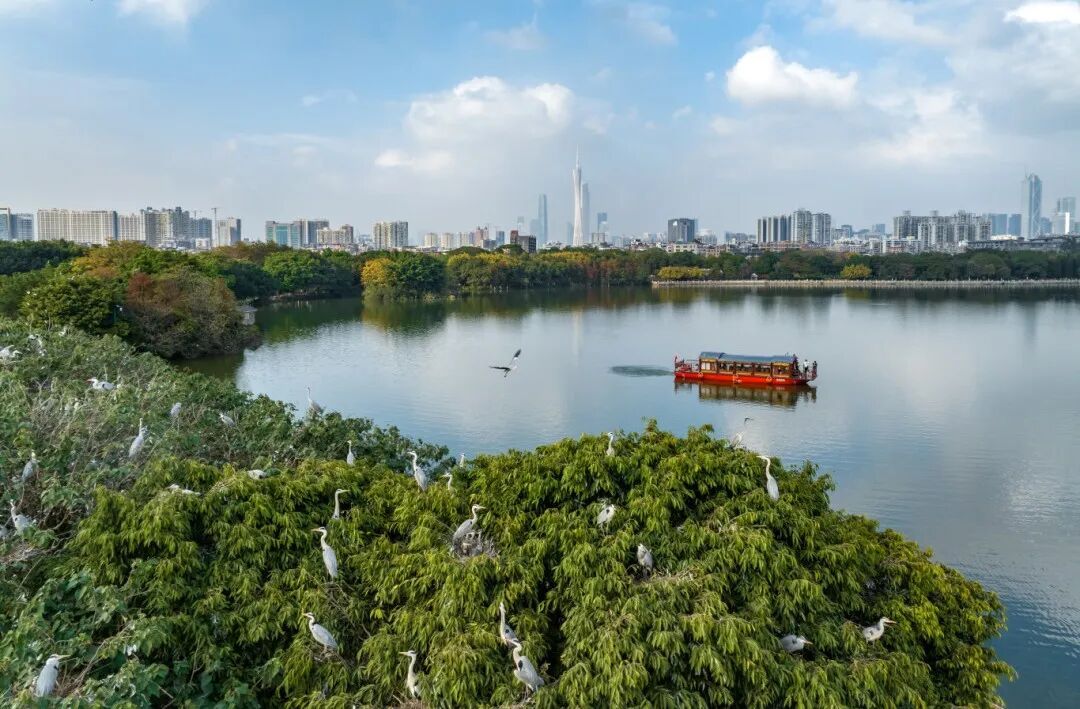 全球新物种+1，它以“海珠”命名