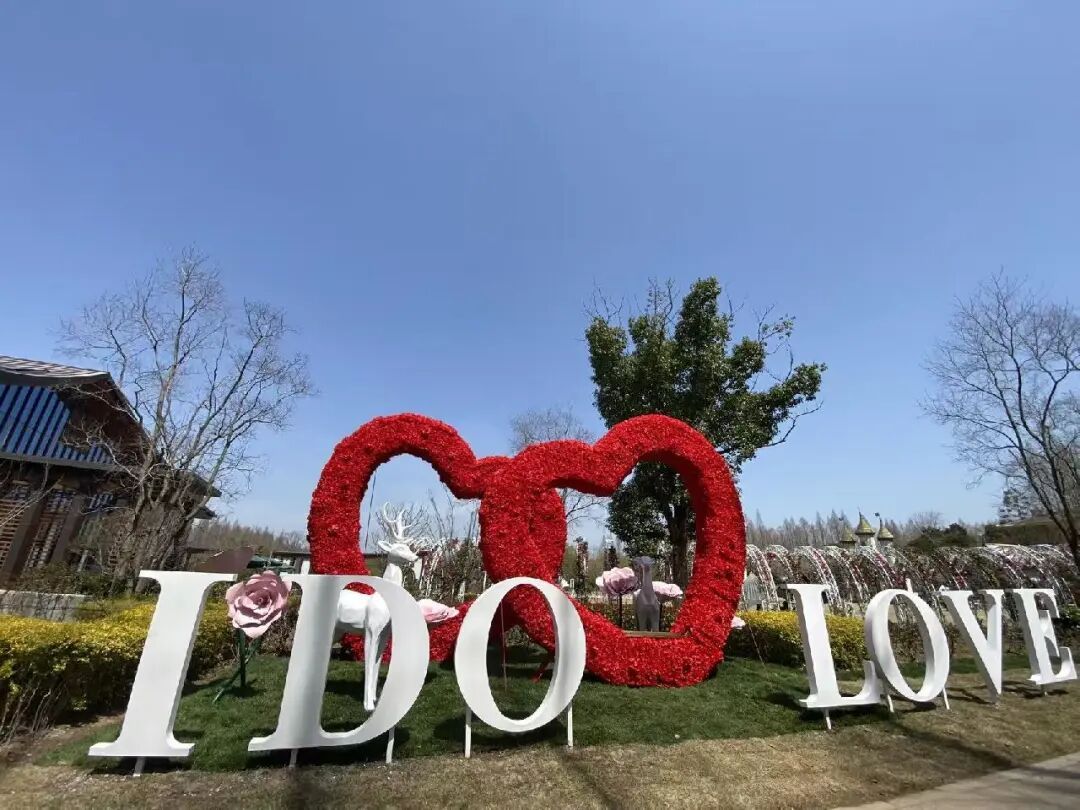 上海首个森林公园里的婚姻登记点启用，多对新人从市区赶来这里领证