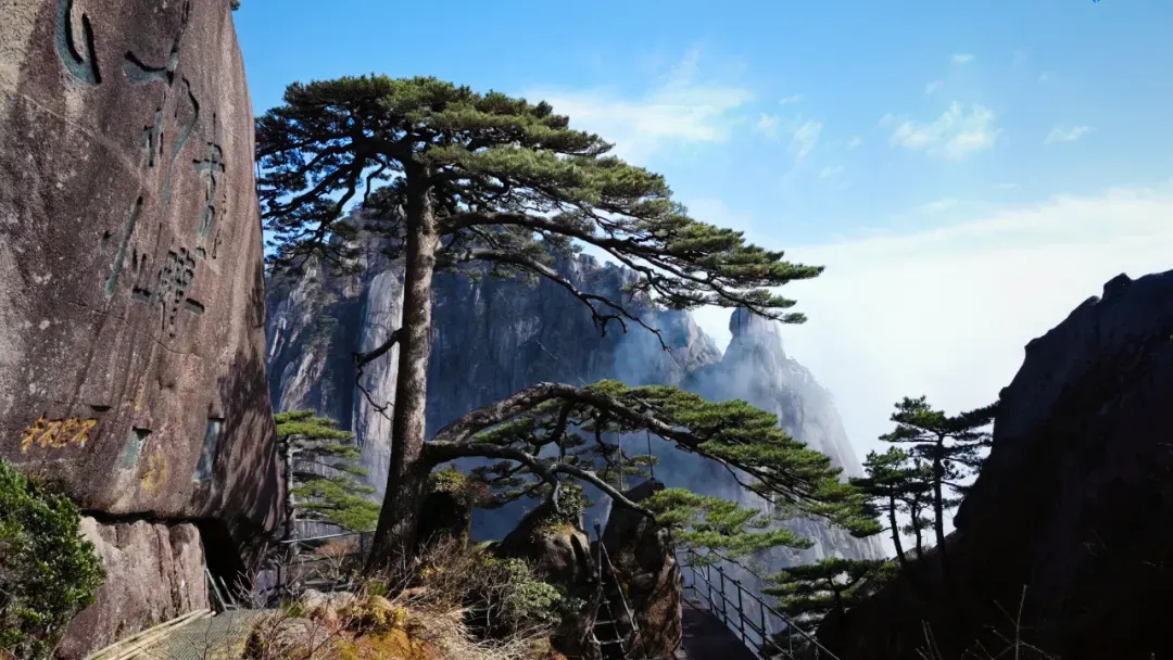 景区免票、交通免费……春假福利来了