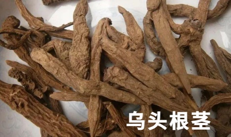 春天 “打野” 热兴起，周末别跟风乱挖！第一批受害者已出现