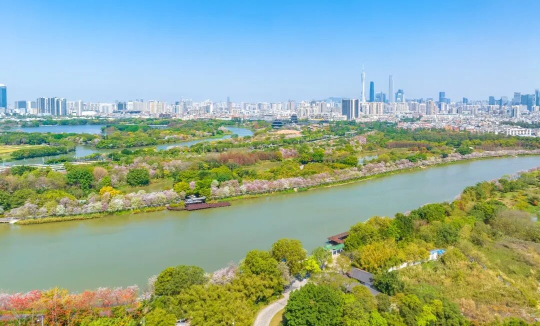 全球新物种+1，它以“海珠”命名