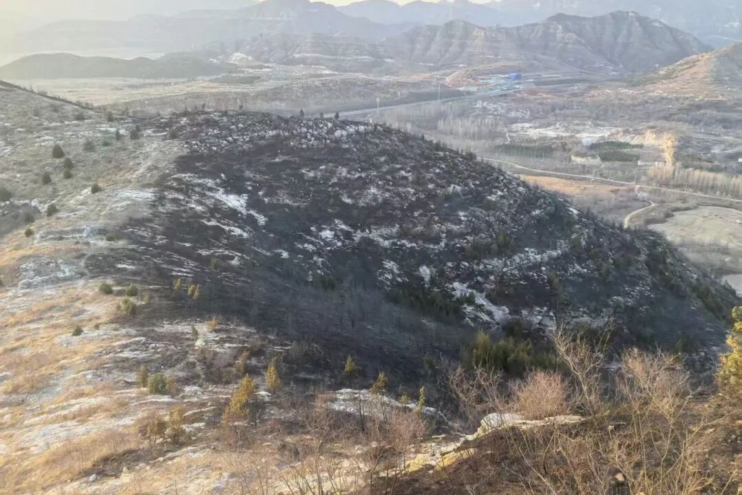 清明将至，文明祭祀，这些森林防火知识要牢记→