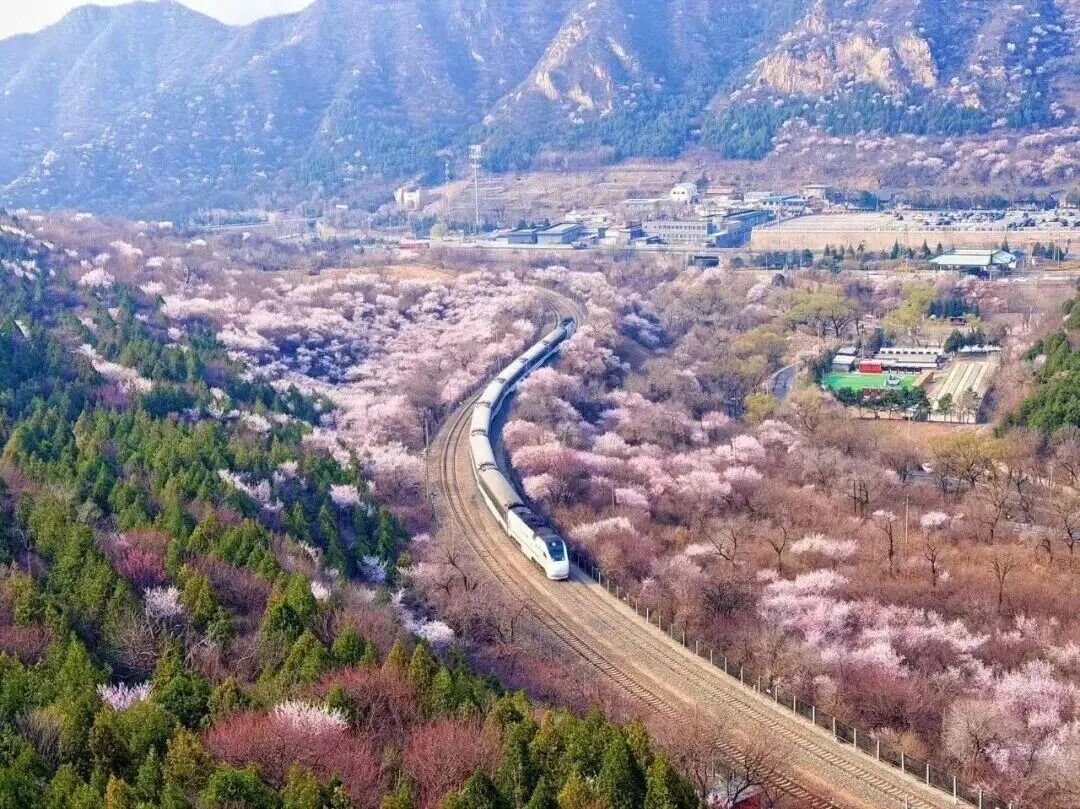 开往春天的列车，加车！最新列车时刻表→