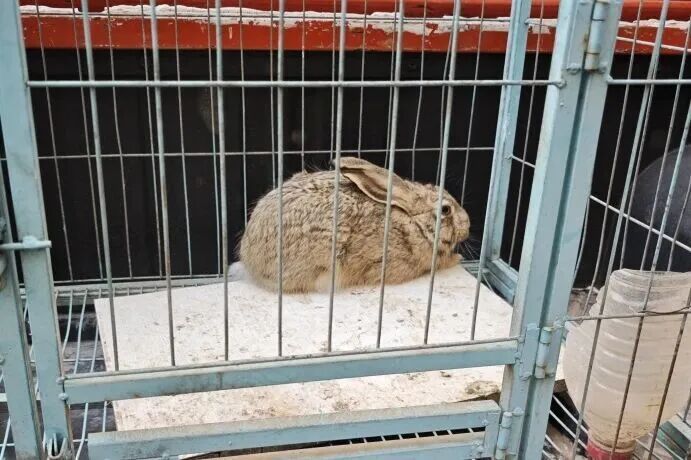 陕西警方：刘某被刑事拘留，案件已立案侦查