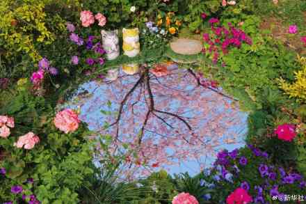 收藏！玉渊潭樱花的春日限定浪漫