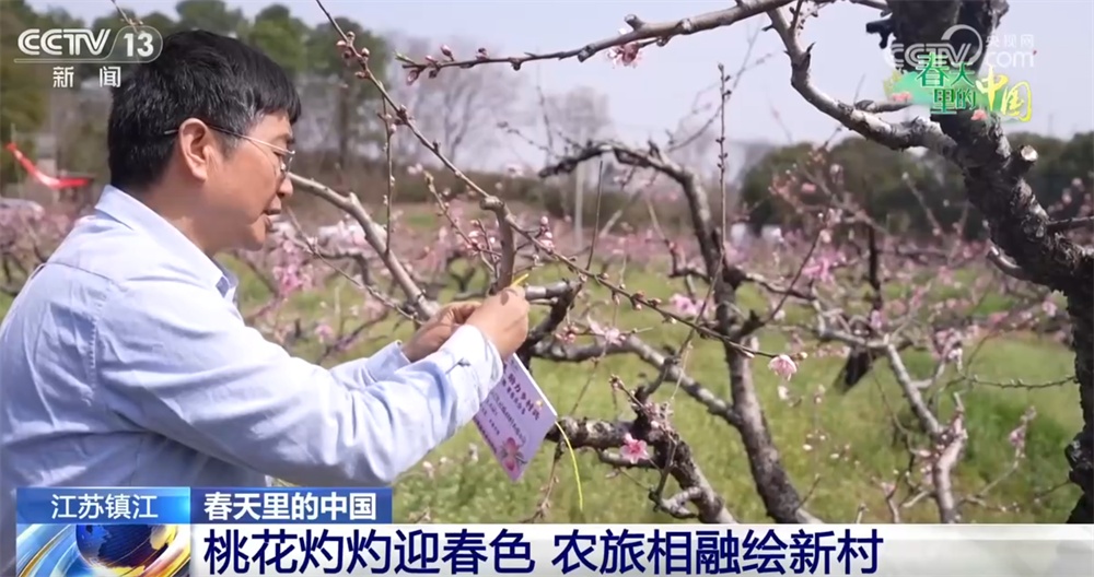 “春赏花、夏采果”农旅互促模式构建新生态 乡村振兴“新”图景正渐次展开
