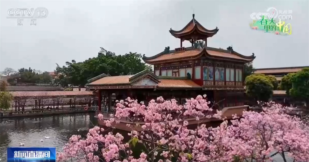 “美丽经济”激活乡村文旅消费 “生态轮作+科技赋能”促进特色产业延链增效