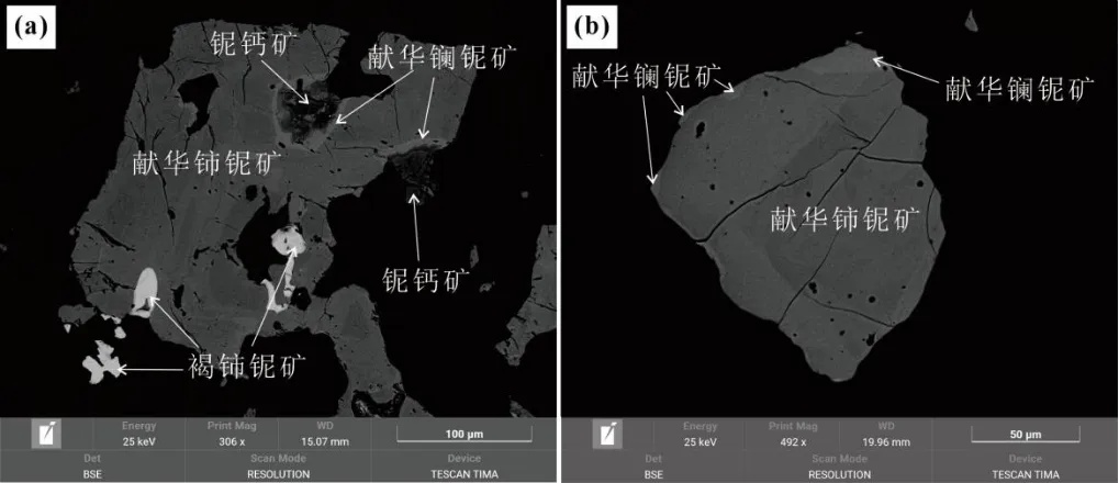 内蒙古又一稀土新矿物获国际认证
