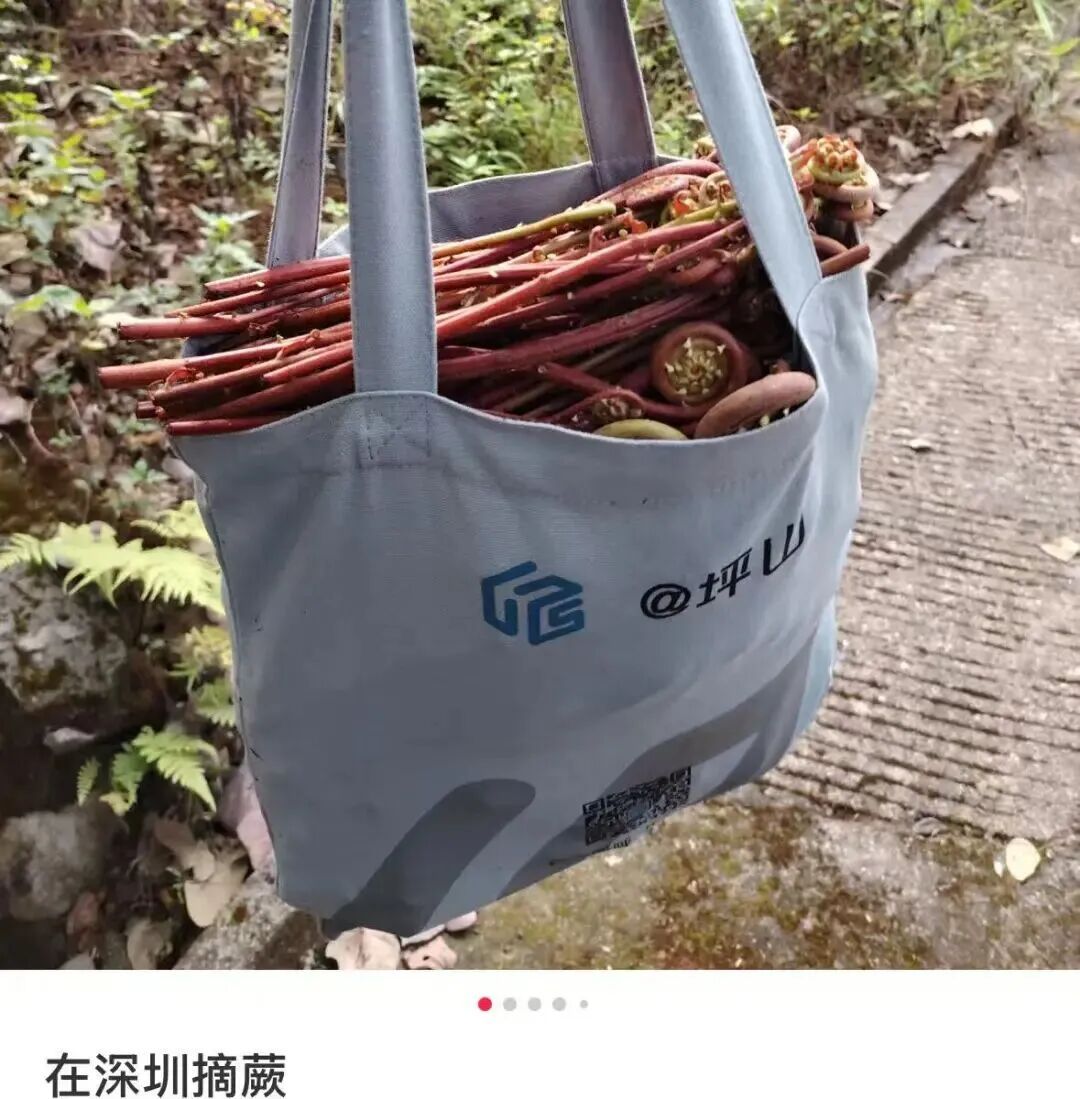 春天 “打野” 热兴起，周末别跟风乱挖！第一批受害者已出现