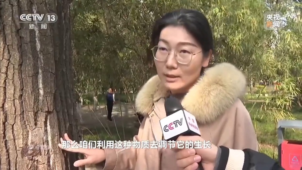 花粉过敏成“隐形烦恼” 生态和健康之间如何找平衡？