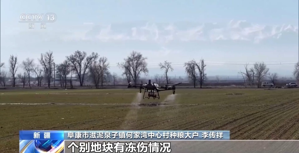 冬小麦田管进入关键期 专家“把脉问诊”促丰收