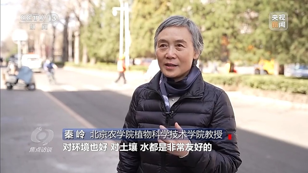 花粉过敏成“隐形烦恼” 生态和健康之间如何找平衡？