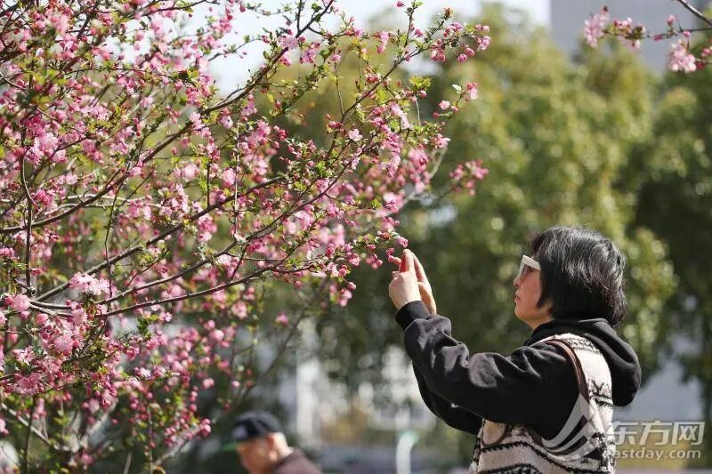 上海今日最高23℃ 明天大反转:大雨+大风+雷电!这场雨要下多久? 上海今日最高23℃ 明天大反转:大雨+大风+雷电!这场雨要下多久?