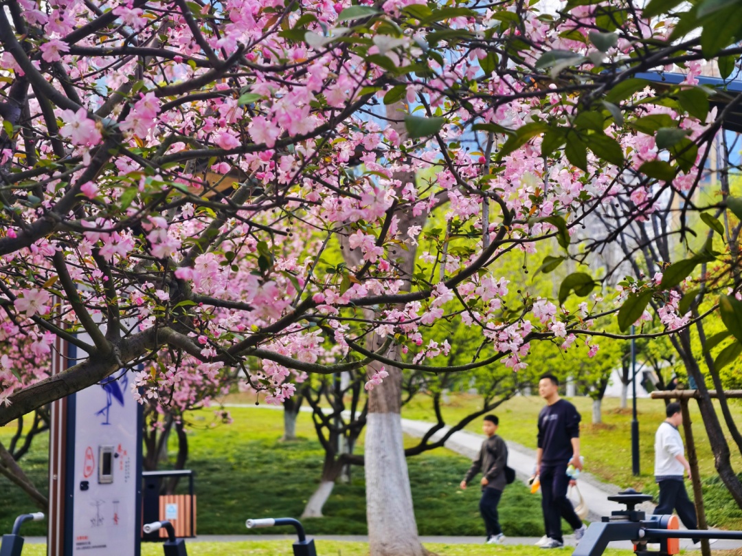 小雨中雨大雨！武汉马上大降温，不止一波