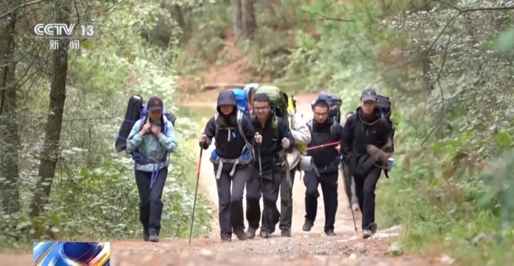 意外扭伤怎么办？别乱动！用2根树枝即可应急