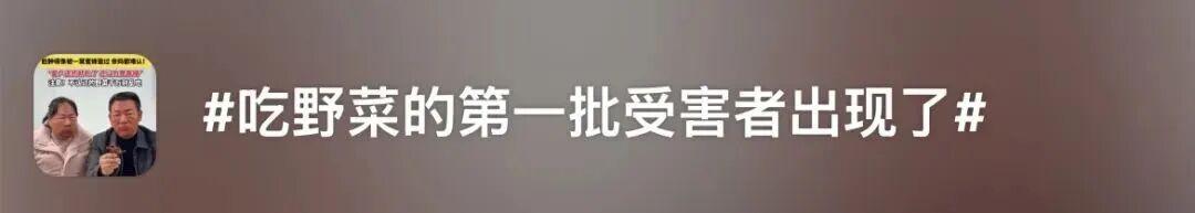 春天 “打野” 热兴起，周末别跟风乱挖！第一批受害者已出现