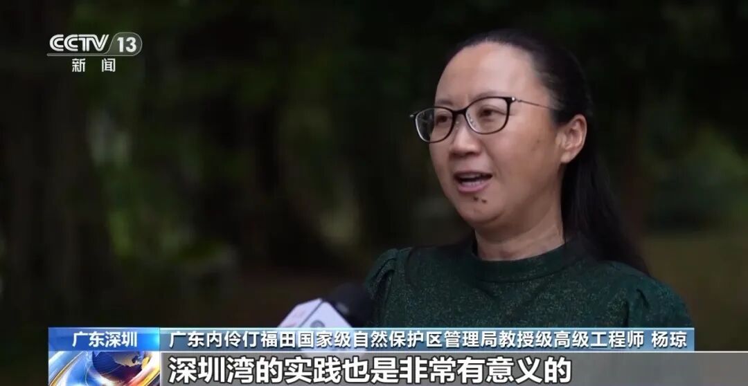 吐槽深圳湾公园“太黑”结果却删帖道歉……真相令人动容