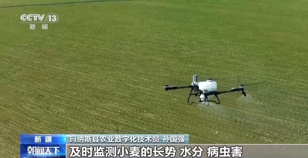 冬小麦田管进入关键期 专家“把脉问诊”促丰收