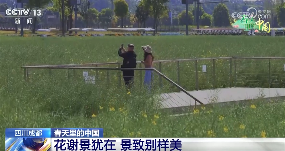 “美丽经济”激活乡村文旅消费 “生态轮作+科技赋能”促进特色产业延链增效