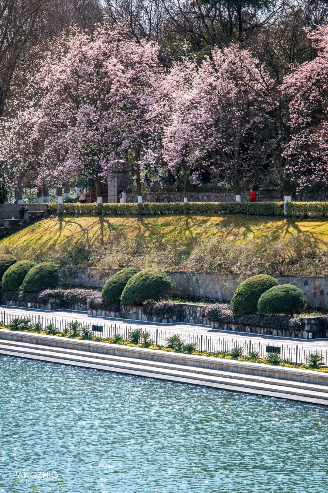 妈妈问我为什么春天总往南京跑