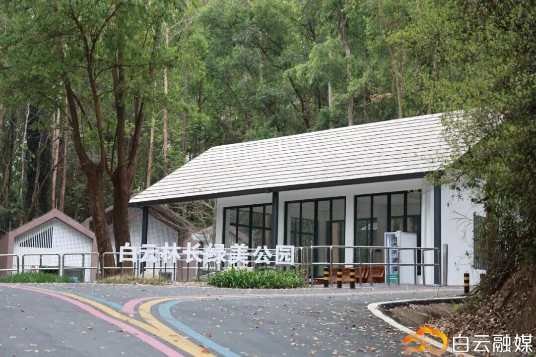 广州这条40公里森林步道，正式开放！