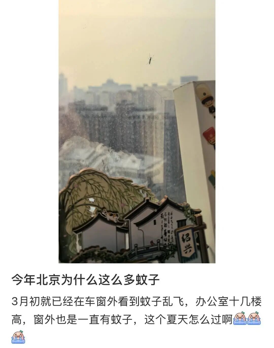 多地蚊子提前“开工”，有人已用上蚊帐！今夏蚊子会“爆发”吗？专家回应