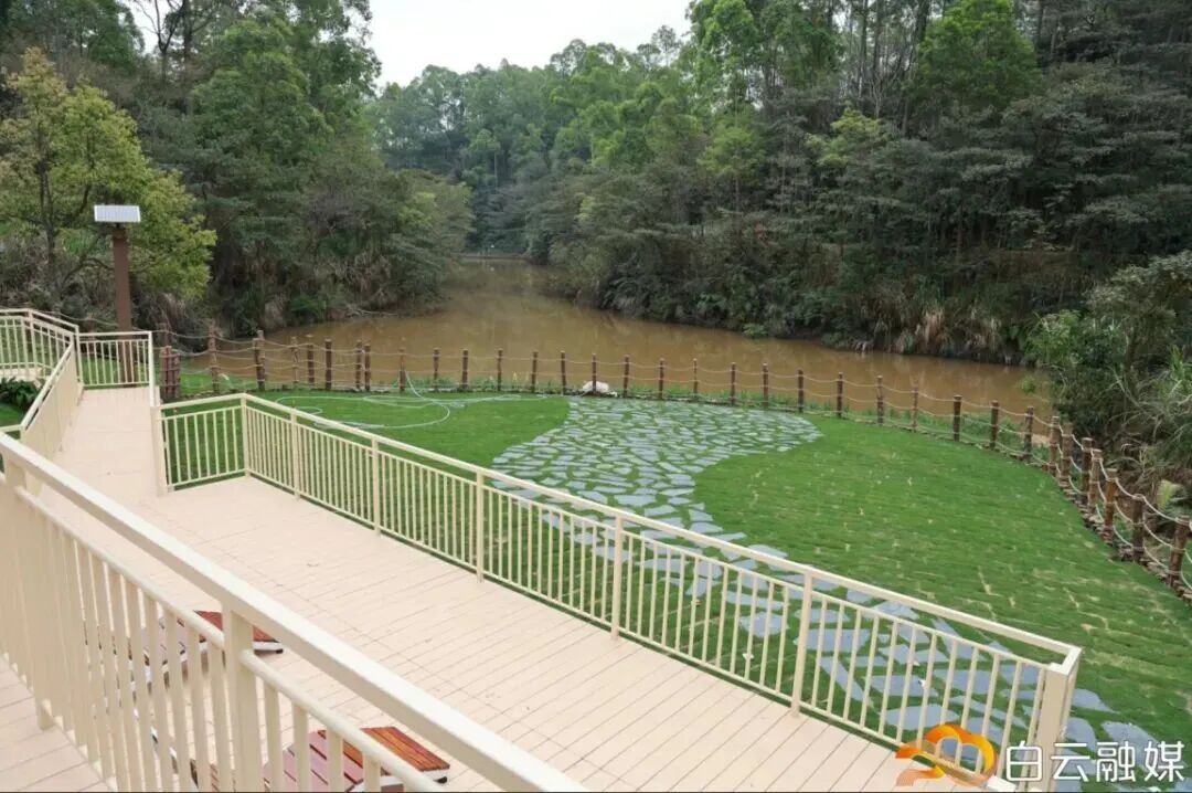 广州这条40公里森林步道，正式开放！