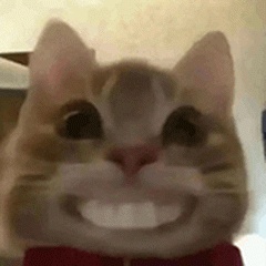 在逃人员双手插兜看热闹，下一秒被抓……