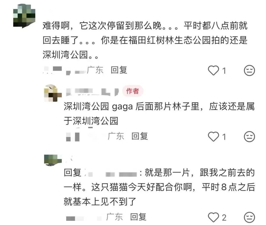 深圳有个“国宝级”明星火了，网友：好难追