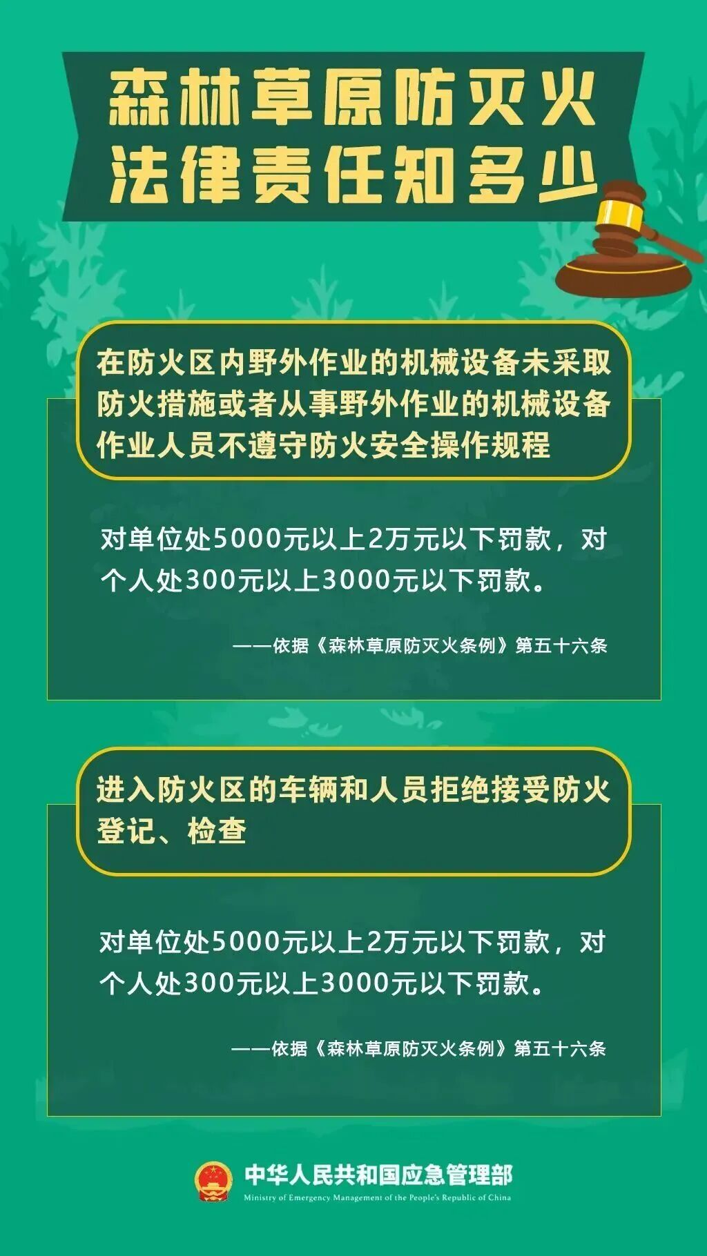 野外违规用火引发林区失火，田某某被警方立案调查！