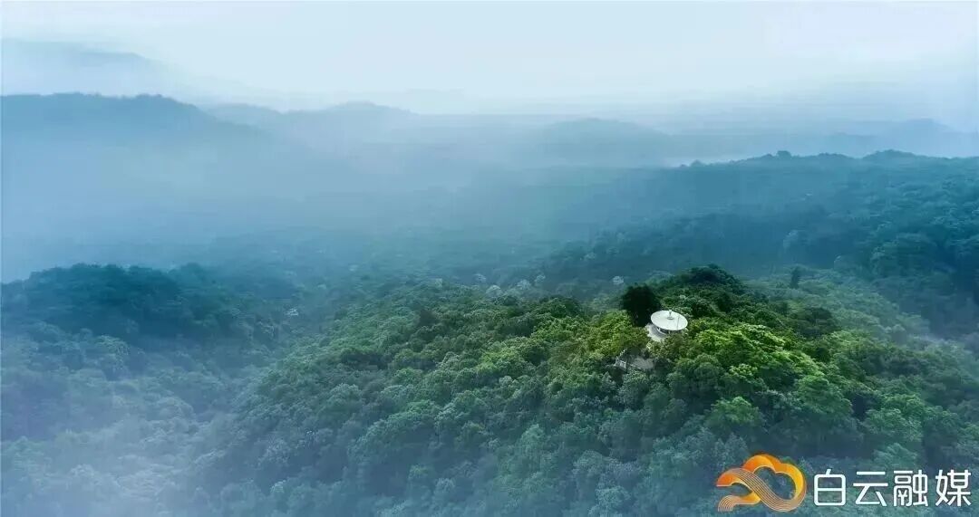 广州这条40公里森林步道，正式开放！