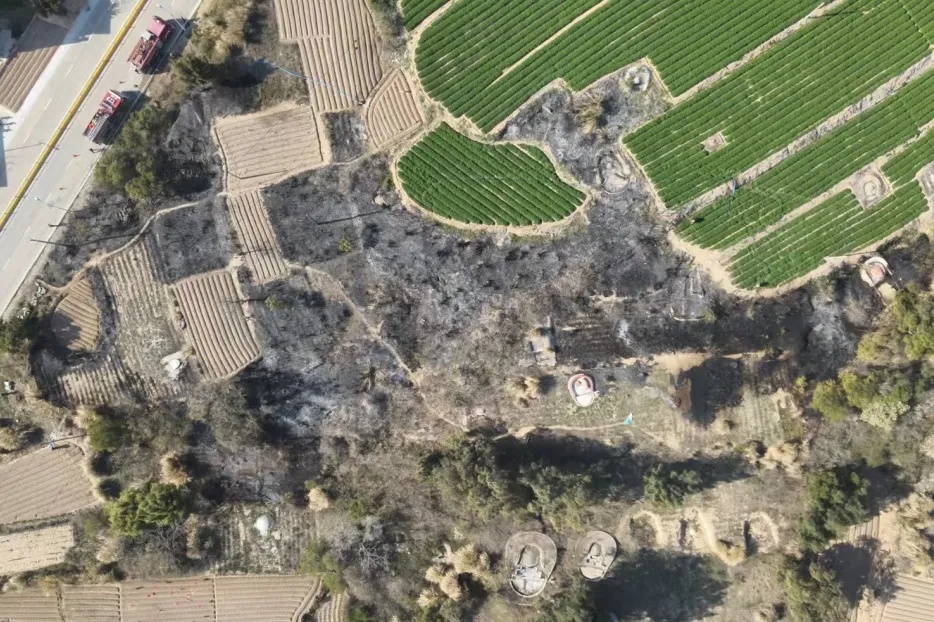 逼停11辆列车，拘留！各位村民，别学他们