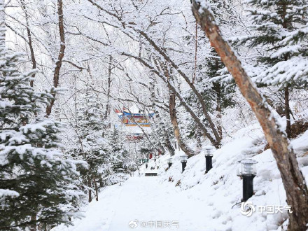 内蒙古迎降雪 呼伦贝尔牙克石大地一片银白