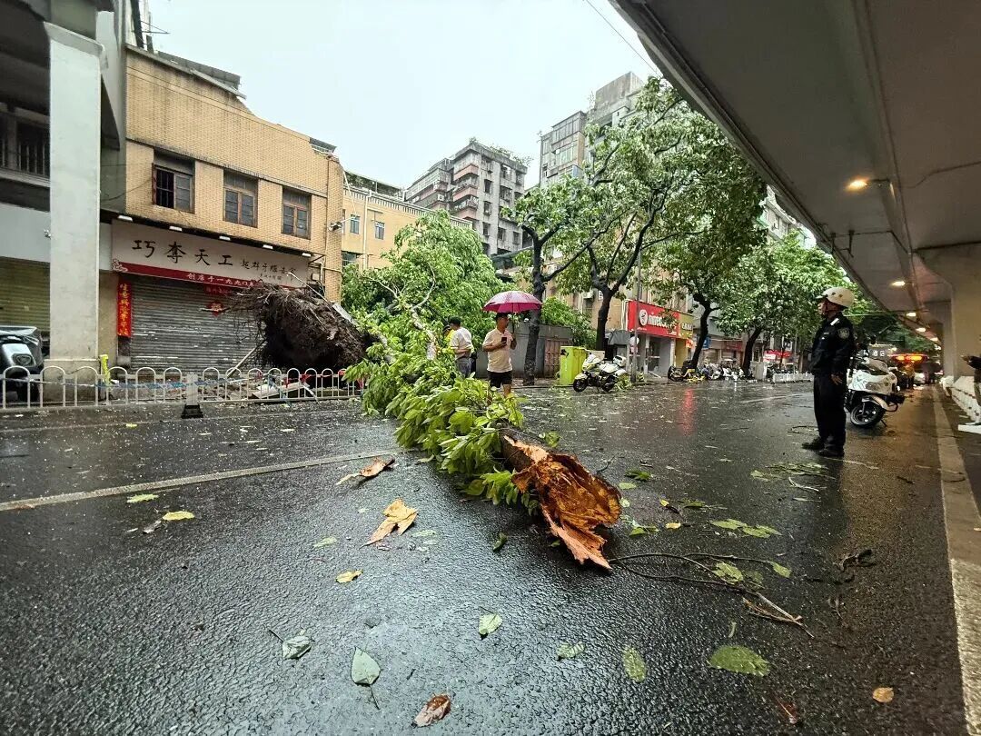 广州1小时下完一天暴雨的量！清明假期这些地方也有暴雨