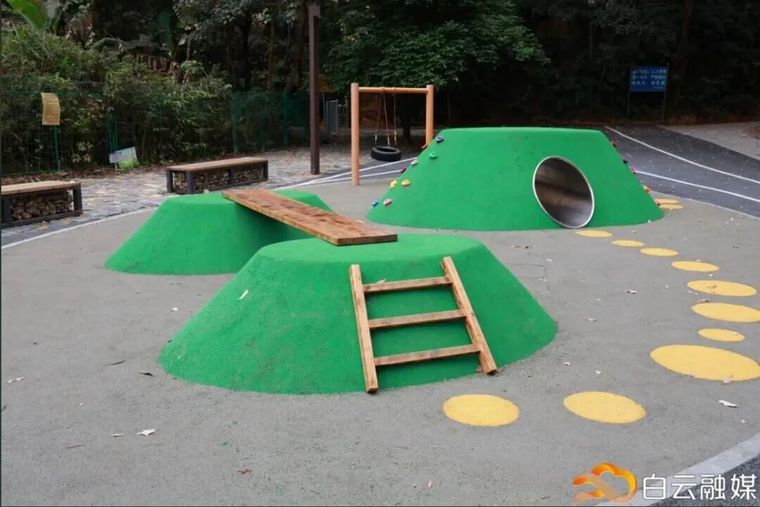 广州这条40公里森林步道，正式开放！