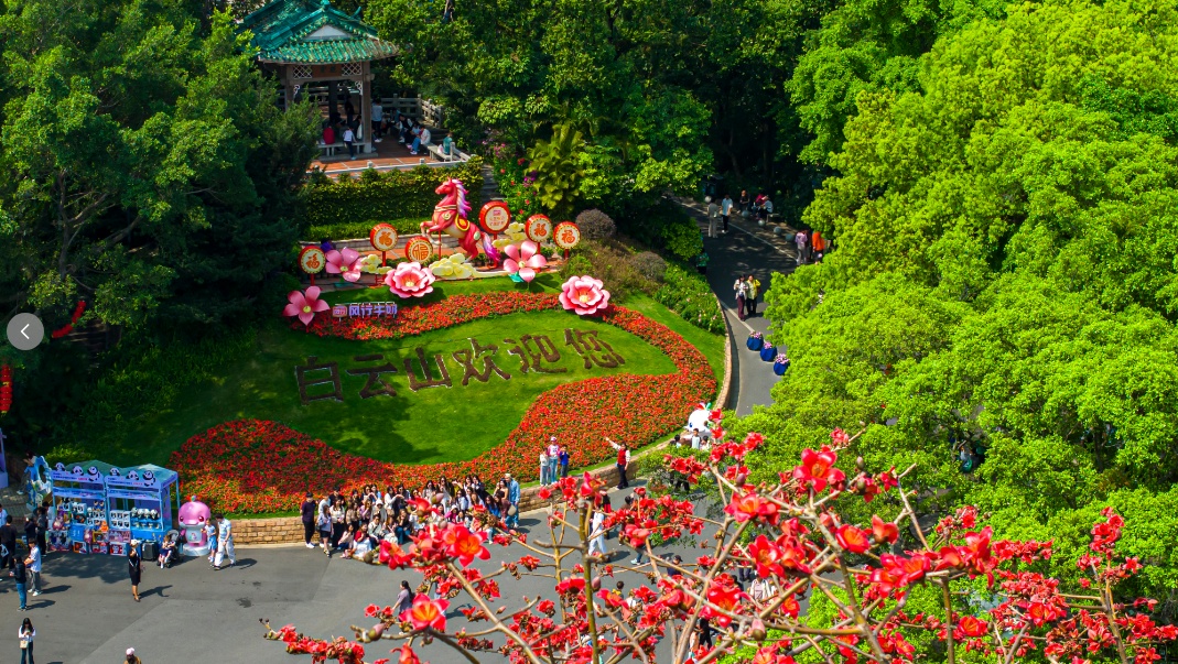 广州这条40公里森林步道，正式开放！