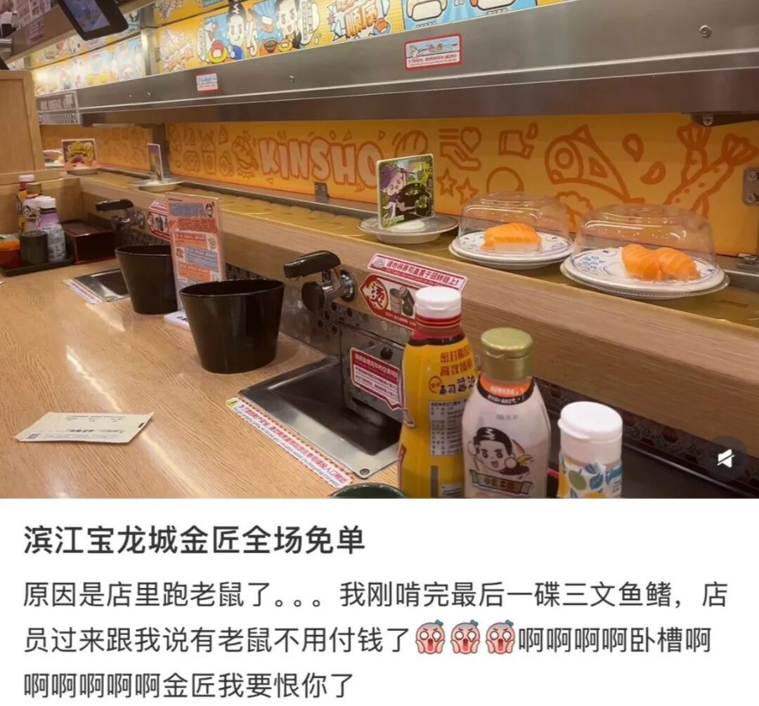 “老鼠在传送带上跑”，顾客直呼“太恶心”！寿司店致歉：老鼠系从外部入侵