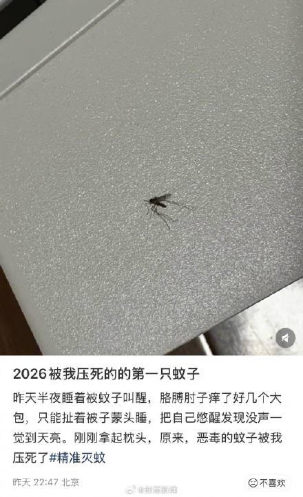 蚊子提前上岗来势汹汹 今夏会更凶吗？