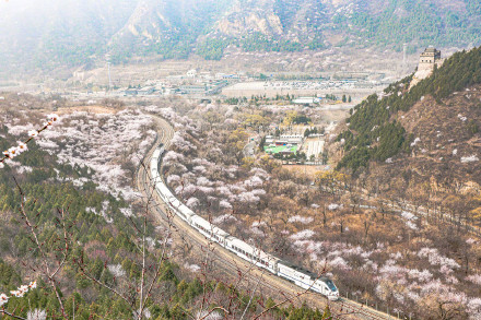 惊艳！北京春日限定花海列车上线
