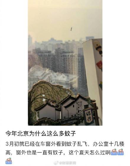 蚊子提前上岗来势汹汹 今夏会更凶吗？