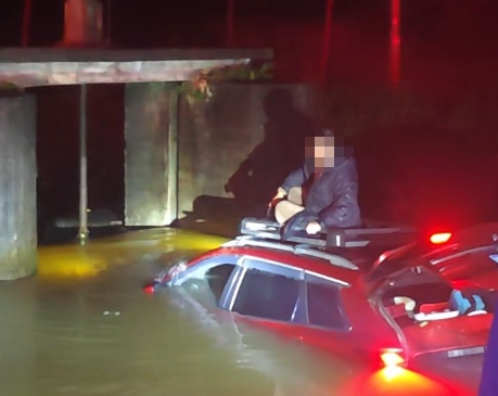 车辆凌晨坠湖,司机竟被吓得忘了报警电话...... 车辆凌晨坠湖,司机竟被吓得忘了报警电话......