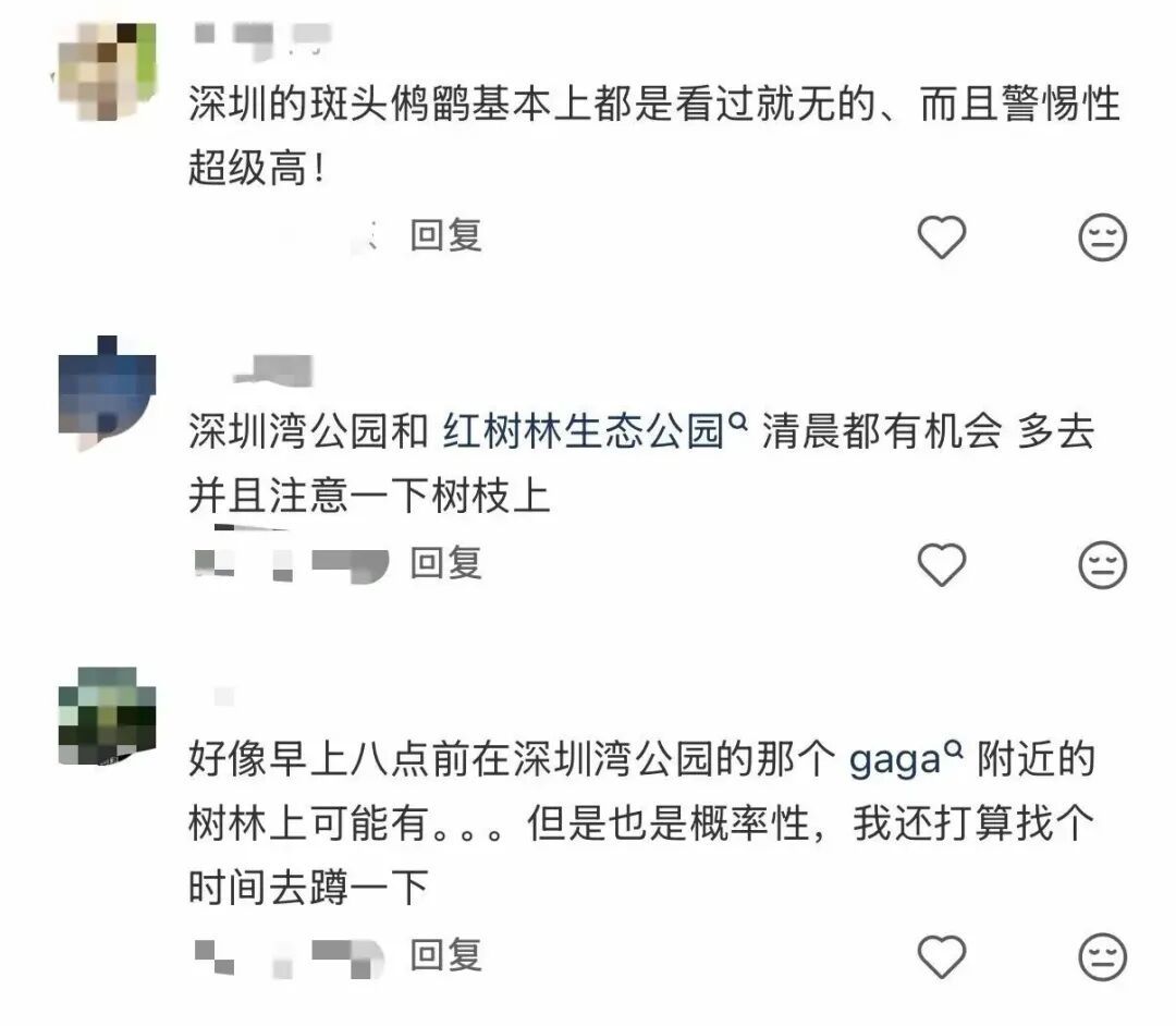 深圳有个“国宝级”明星火了，网友：好难追