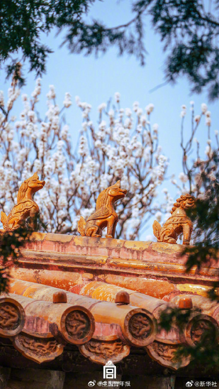 故宫春日壁纸上新了