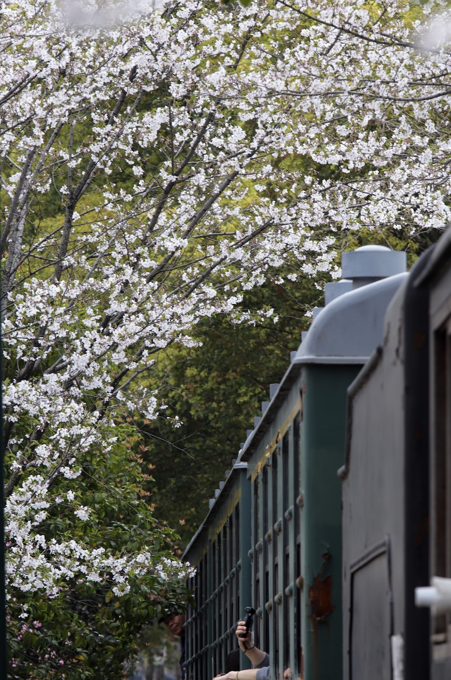 11级，雷暴+冰雹！浙江35条预警齐发，杭州人下班早点回家