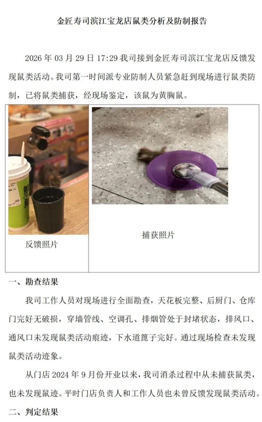 “老鼠在传送带上跑”，顾客直呼“太恶心”！寿司店致歉：老鼠系从外部入侵