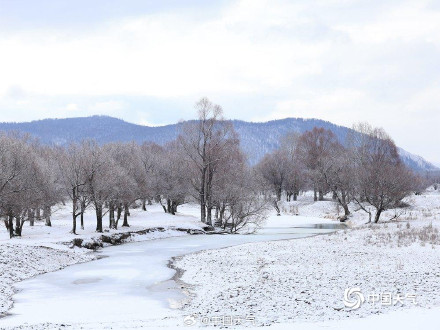 内蒙古迎降雪 呼伦贝尔牙克石大地一片银白