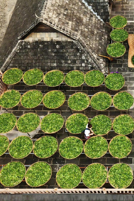 收藏转发！春天就是要到花海里去