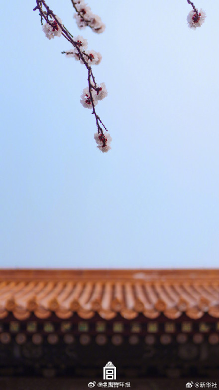 故宫春日壁纸上新了