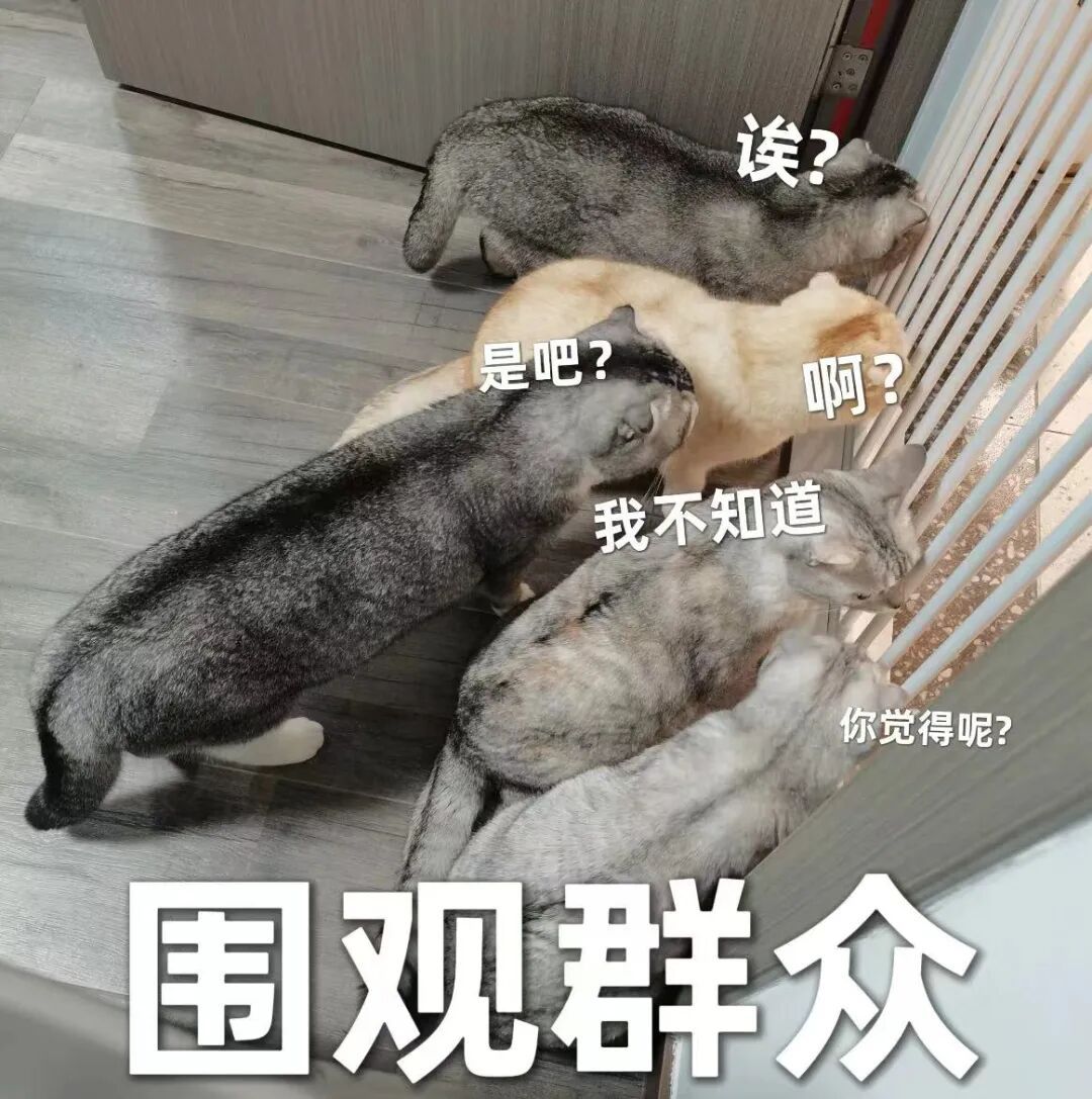在逃人员双手插兜看热闹，下一秒被抓……